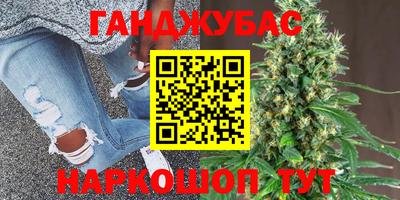 прущие грибы Волжск